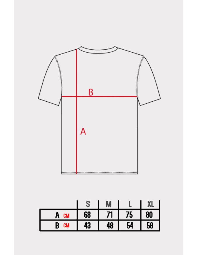Camiseta Invictus
