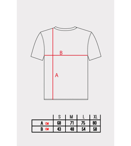 Camiseta Invictus